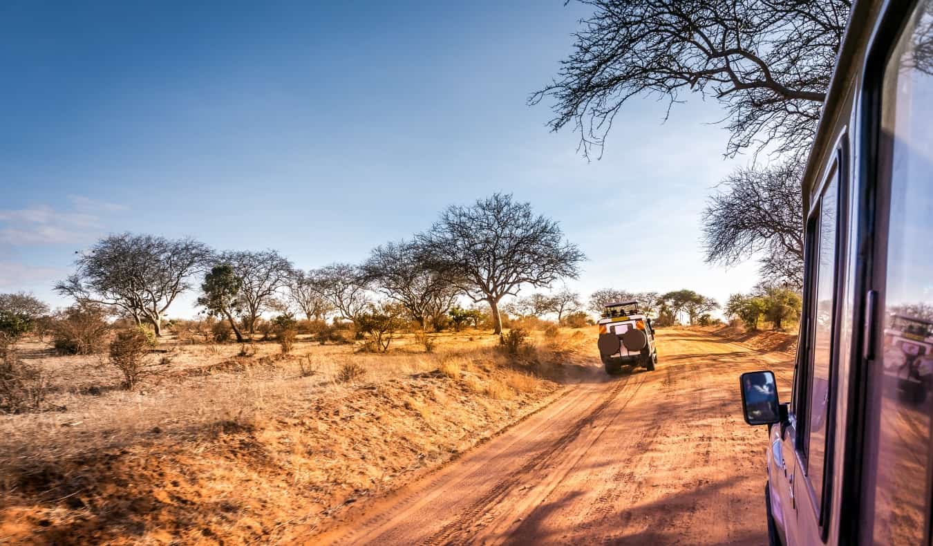 Road Safari Packages